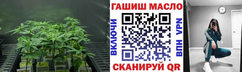 ТГК вейп  KRAKEN как зайти  Энем 